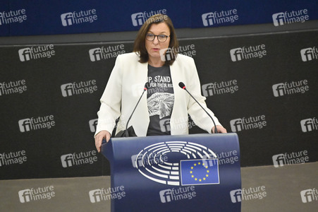 Plenartagung über Tiertransporte im EU-Parlament in Straßburg