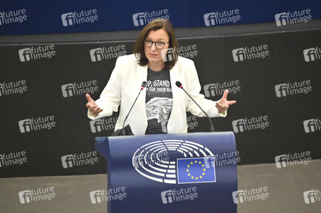 Plenartagung über Tiertransporte im EU-Parlament in Straßburg