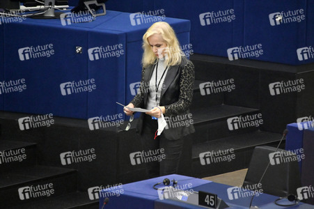 Plenartagung über Tiertransporte im EU-Parlament in Straßburg