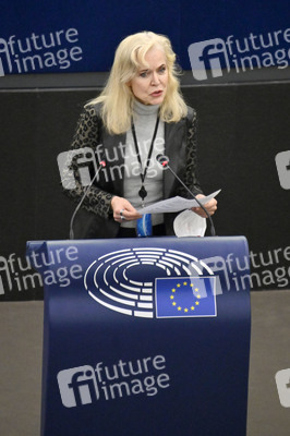 Plenartagung über Tiertransporte im EU-Parlament in Straßburg