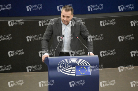 Plenartagung über Tiertransporte im EU-Parlament in Straßburg