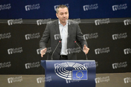 Plenartagung über Tiertransporte im EU-Parlament in Straßburg