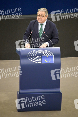 Plenartagung über Tiertransporte im EU-Parlament in Straßburg