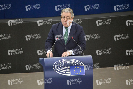 Plenartagung über Tiertransporte im EU-Parlament in Straßburg