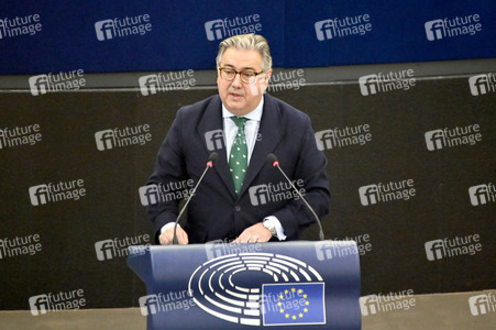 Plenartagung über Tiertransporte im EU-Parlament in Straßburg