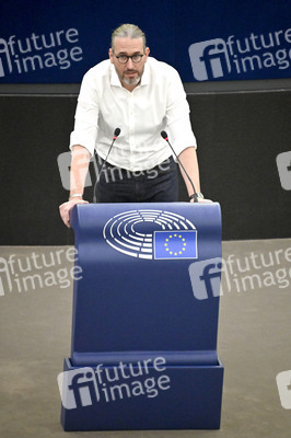 Plenartagung über Tiertransporte im EU-Parlament in Straßburg