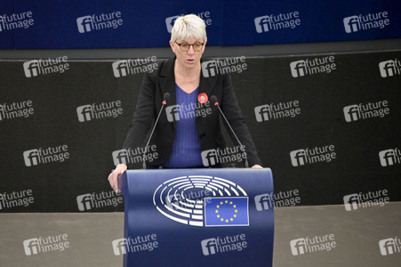 Plenartagung über Tiertransporte im EU-Parlament in Straßburg