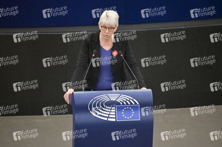 Plenartagung über Tiertransporte im EU-Parlament in Straßburg