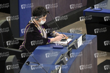 Plenartagung über Tiertransporte im EU-Parlament in Straßburg