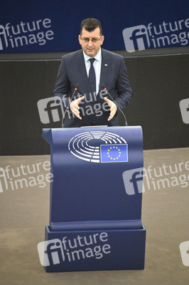 Plenartagung über Tiertransporte im EU-Parlament in Straßburg