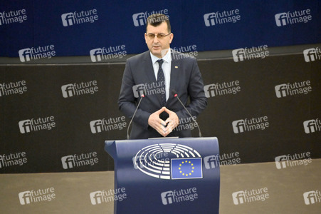 Plenartagung über Tiertransporte im EU-Parlament in Straßburg