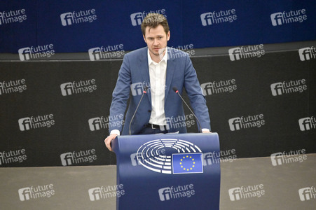 Plenartagung über Tiertransporte im EU-Parlament in Straßburg