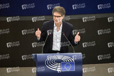 Plenartagung über Tiertransporte im EU-Parlament in Straßburg