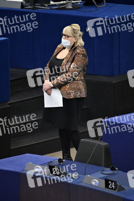 Plenartagung über Tiertransporte im EU-Parlament in Straßburg