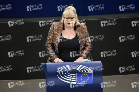 Plenartagung über Tiertransporte im EU-Parlament in Straßburg