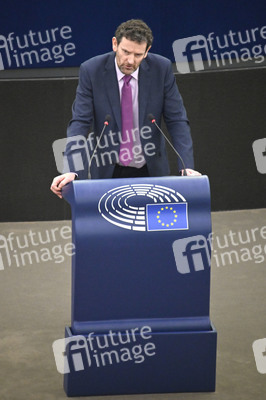 Plenartagung über Tiertransporte im EU-Parlament in Straßburg