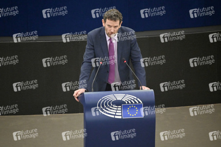 Plenartagung über Tiertransporte im EU-Parlament in Straßburg