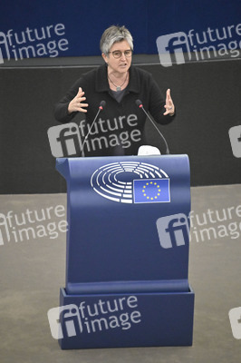 Plenartagung über Tiertransporte im EU-Parlament in Straßburg