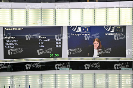 Plenartagung über Tiertransporte im EU-Parlament in Straßburg