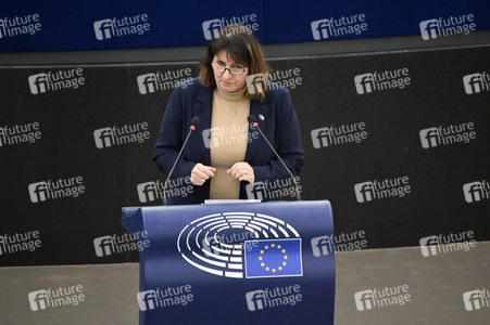 Plenartagung über Tiertransporte im EU-Parlament in Straßburg