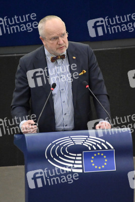 Plenartagung über Tiertransporte im EU-Parlament in Straßburg