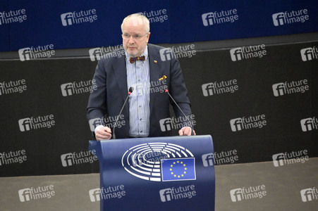 Plenartagung über Tiertransporte im EU-Parlament in Straßburg