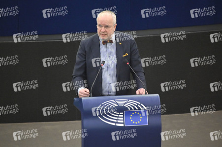 Plenartagung über Tiertransporte im EU-Parlament in Straßburg