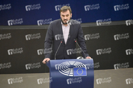 Plenartagung über Tiertransporte im EU-Parlament in Straßburg