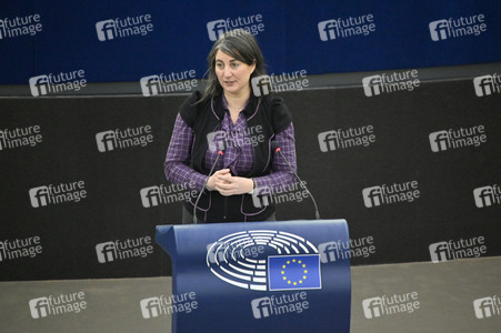 Plenartagung über Tiertransporte im EU-Parlament in Straßburg