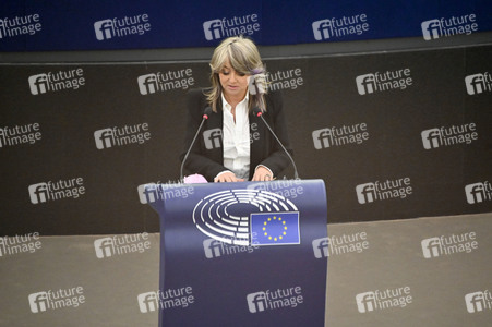 Plenartagung über Tiertransporte im EU-Parlament in Straßburg