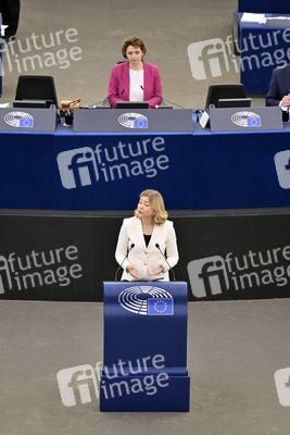 Plenartagung über Tiertransporte im EU-Parlament in Straßburg