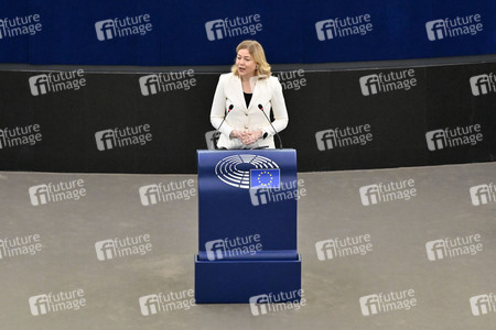 Plenartagung über Tiertransporte im EU-Parlament in Straßburg