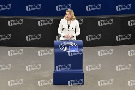 Plenartagung über Tiertransporte im EU-Parlament in Straßburg