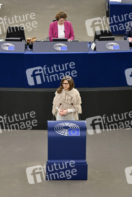 Plenartagung über Tiertransporte im EU-Parlament in Straßburg