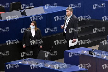 Plenartagung über Tiertransporte im EU-Parlament in Straßburg