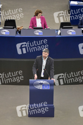 Plenartagung über Tiertransporte im EU-Parlament in Straßburg