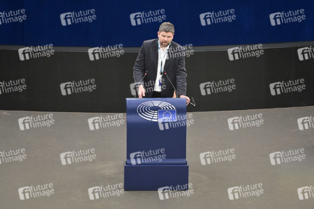 Plenartagung über Tiertransporte im EU-Parlament in Straßburg