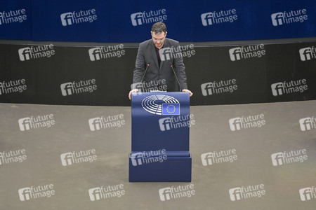 Plenartagung über Tiertransporte im EU-Parlament in Straßburg
