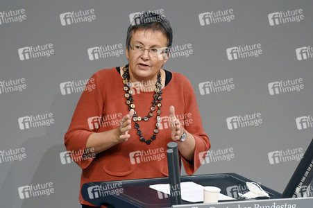 13. Sitzung des Deutschen Bundestages in Berlin