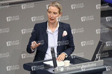 13. Sitzung des Deutschen Bundestages in Berlin