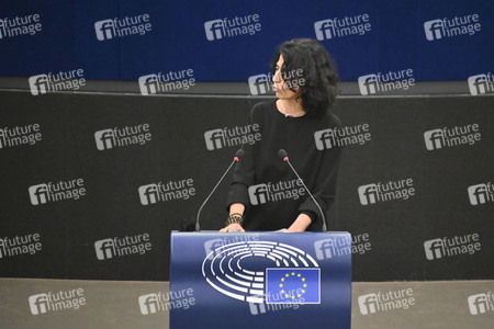 Plenartagung zu den Beziehungen EU-Afrika im EU-Parlament in Straßburg