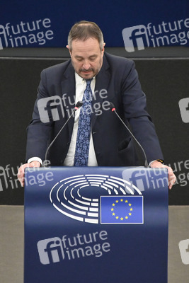 Plenartagung zu den Beziehungen EU-Afrika im EU-Parlament in Straßburg