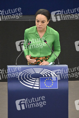 Plenartagung zu den Beziehungen EU-Afrika im EU-Parlament in Straßburg