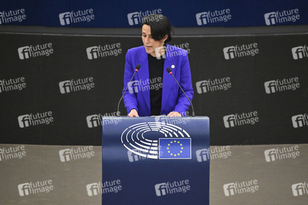 Plenartagung zu den Beziehungen EU-Afrika im EU-Parlament in Straßburg