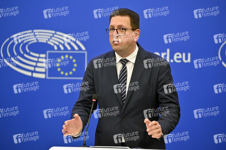 Pressekonferenz 'Die nationalen und sprachlichen Minderheiten ' im Europäischen Parlament in Straßburg