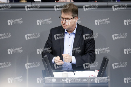17. Sitzung des Deutschen Bundestages in Berlin