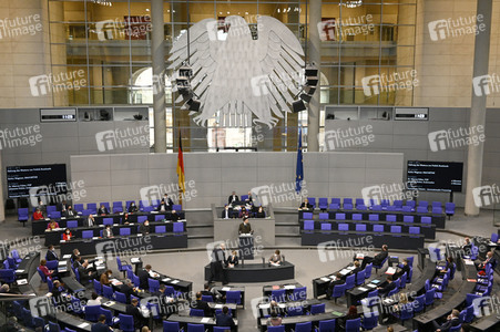 17. Sitzung des Deutschen Bundestages in Berlin