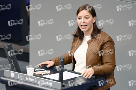 17. Sitzung des Deutschen Bundestages in Berlin
