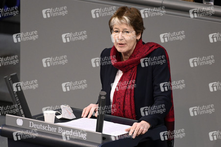 17. Sitzung des Deutschen Bundestages in Berlin