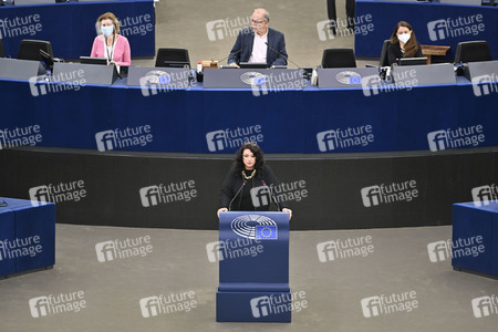 Plenartagung zu extremen Wetterphänomenen im EU-Parlament in Straßburg